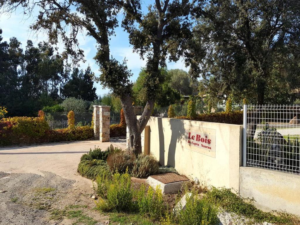 Le Bois De Capra Scorsa Βίλα Belgodère Εξωτερικό φωτογραφία