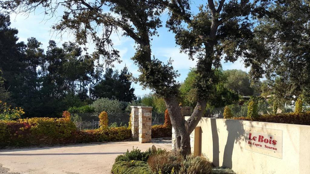 Le Bois De Capra Scorsa Βίλα Belgodère Εξωτερικό φωτογραφία