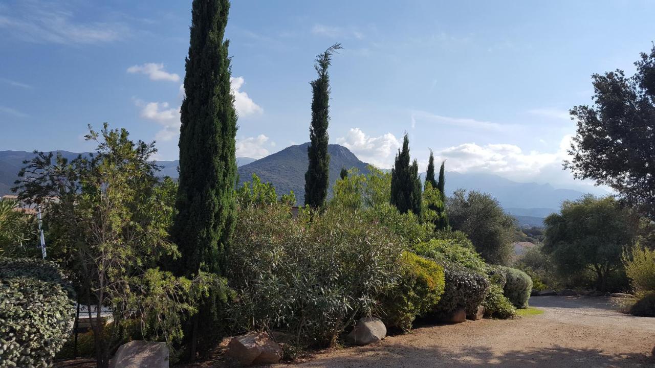 Le Bois De Capra Scorsa Βίλα Belgodère Εξωτερικό φωτογραφία